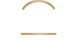 logo vinis@2x